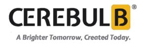Cerebulb Engineering Solutions – Ankit and Sonal Dhorajiya
